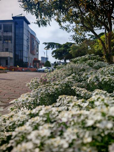 مجتمع تفریحی بانک رفاه