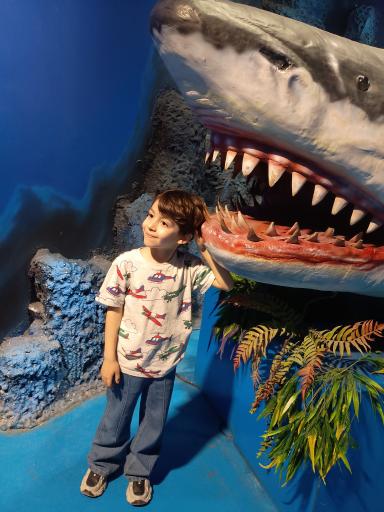 اقیانوس پارک