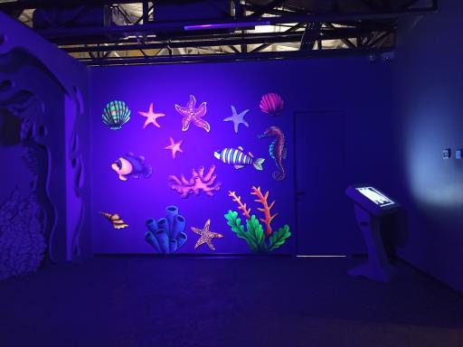 اقیانوس پارک