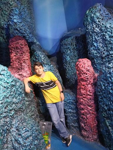 اقیانوس پارک