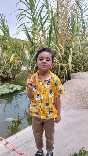 اقیانوس پارک