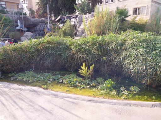 عکس اقیانوس پارک