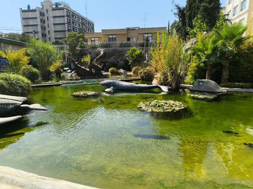 عکس اقیانوس پارک