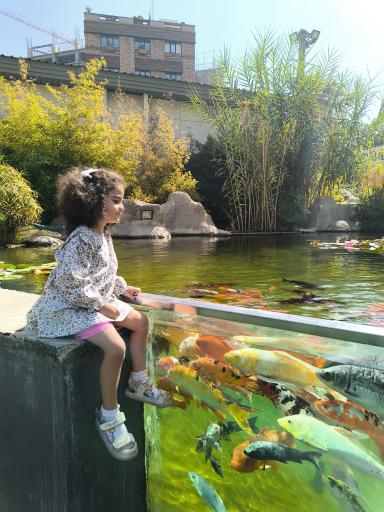 عکس اقیانوس پارک