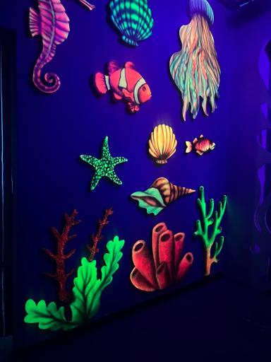 عکس اقیانوس پارک