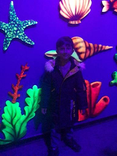 عکس اقیانوس پارک