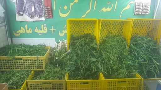 عکس سبزی خردکنی ریحانه تک