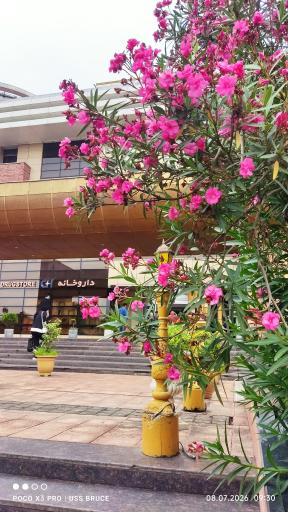 عکس بیمارستان بین المللی قائم (عج)