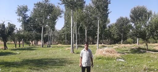 عکس ابهر