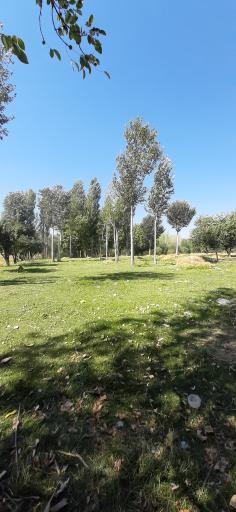 عکس ابهر