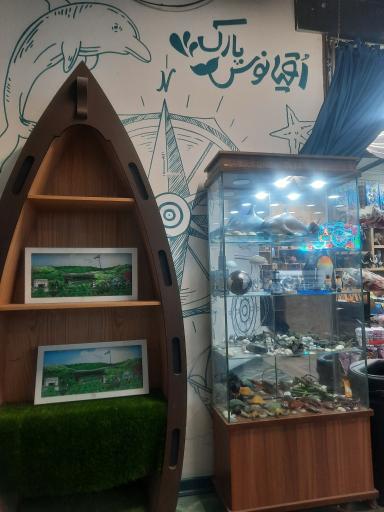 عکس اقیانوس پارک