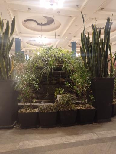 عکس سفره خانه چکاوک