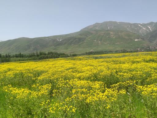 عکس آذربایجان غربی