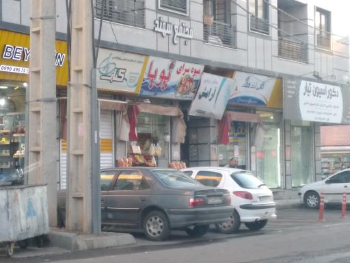 عکس میوه سرای پویا