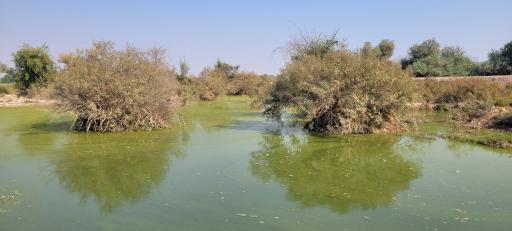 عکس زاویه حمودی
