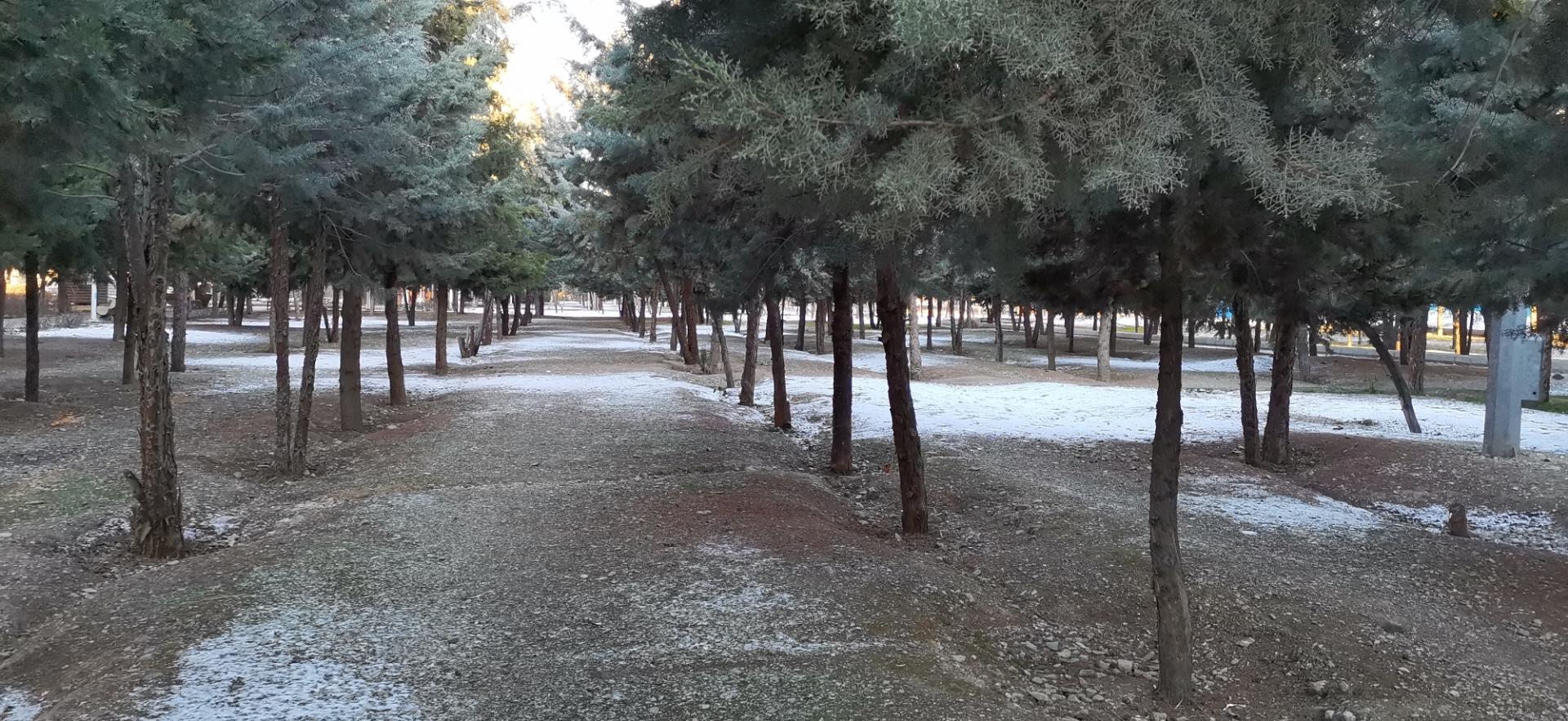 عکس بوستان بهاران