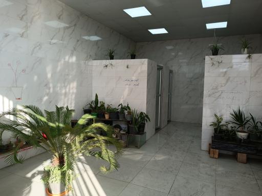 عکس سرویس بهداشتی