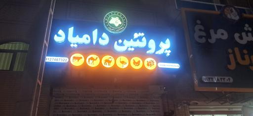 پروتئین دامیاد