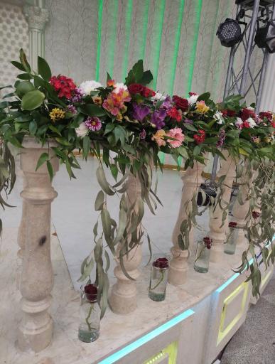 عکس باغ‌ تالار سعادت