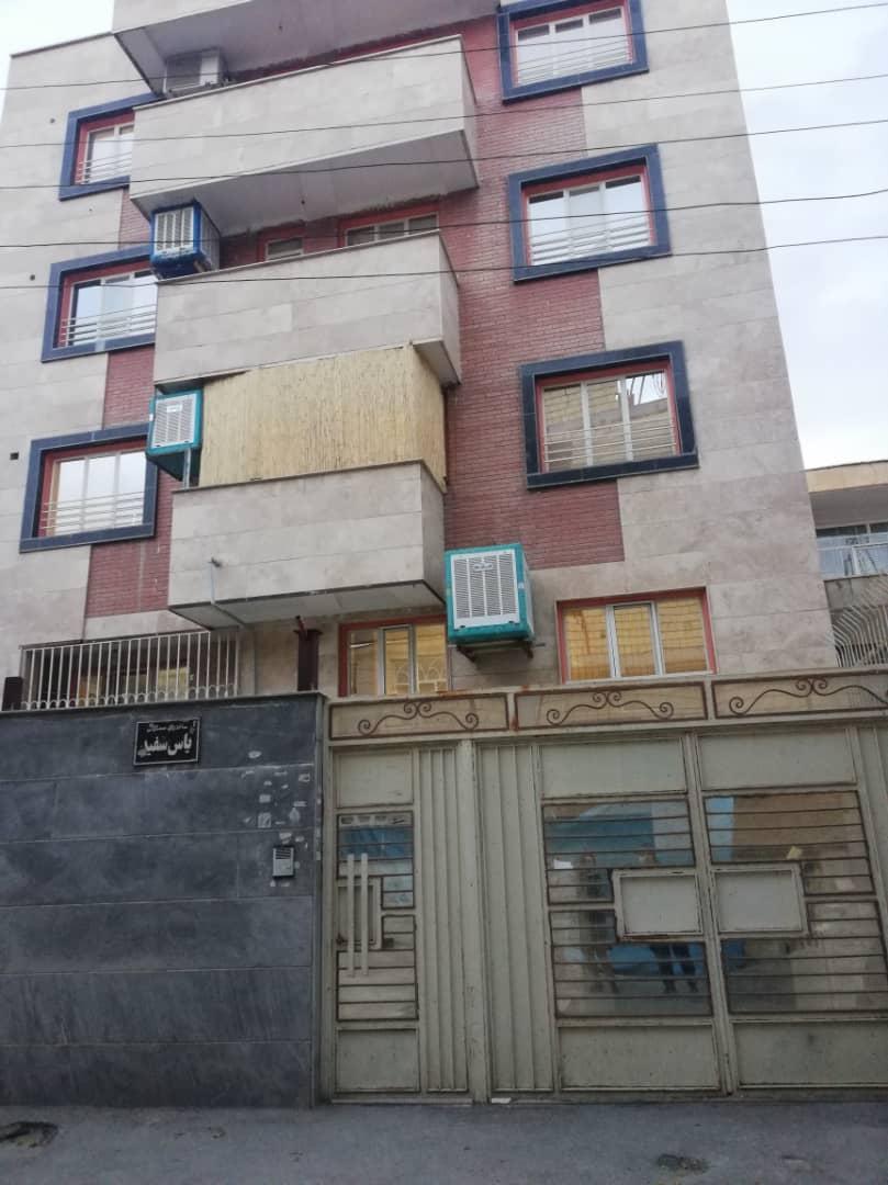 عکس یاس سفید