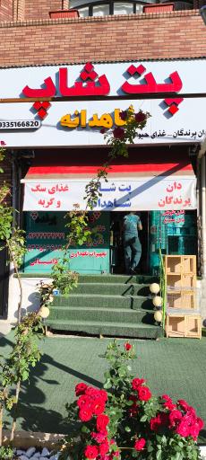 پت شاپ شاهدانه