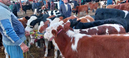 عکس مال بازار آق قلا