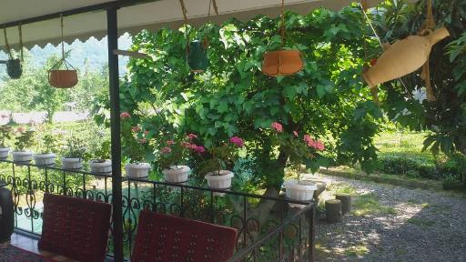 عکس شکور ویلا