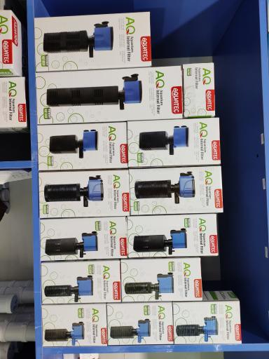 عکس ماهی زینتی مقصودی 