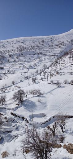 عکس نودشه