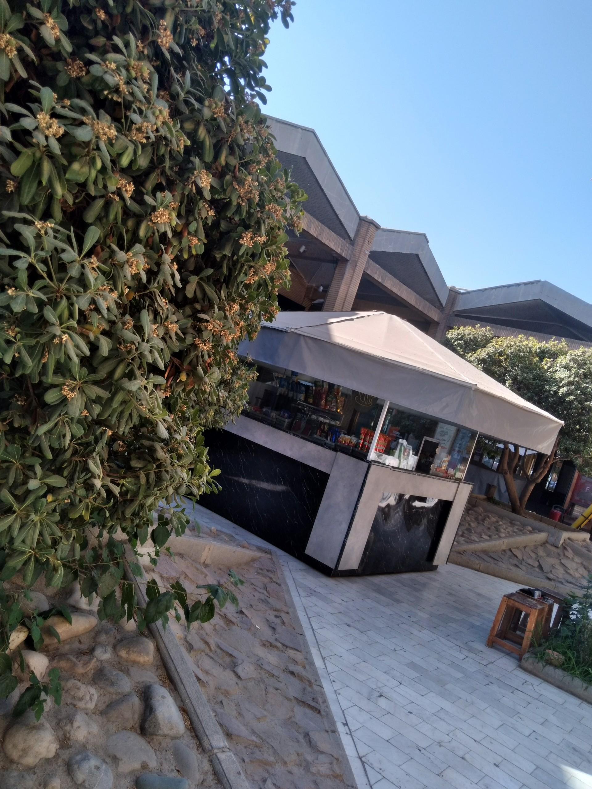 عکس بوفه باغچه