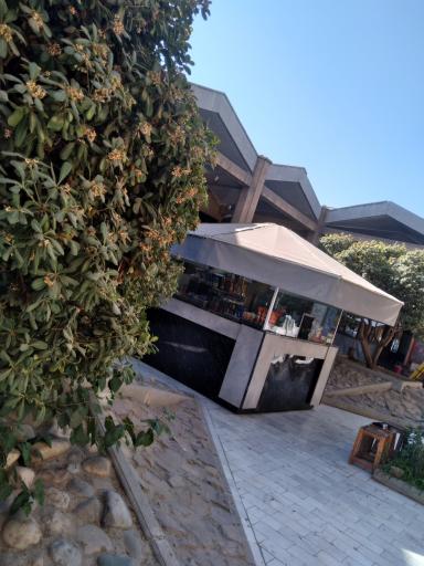 عکس بوفه باغچه