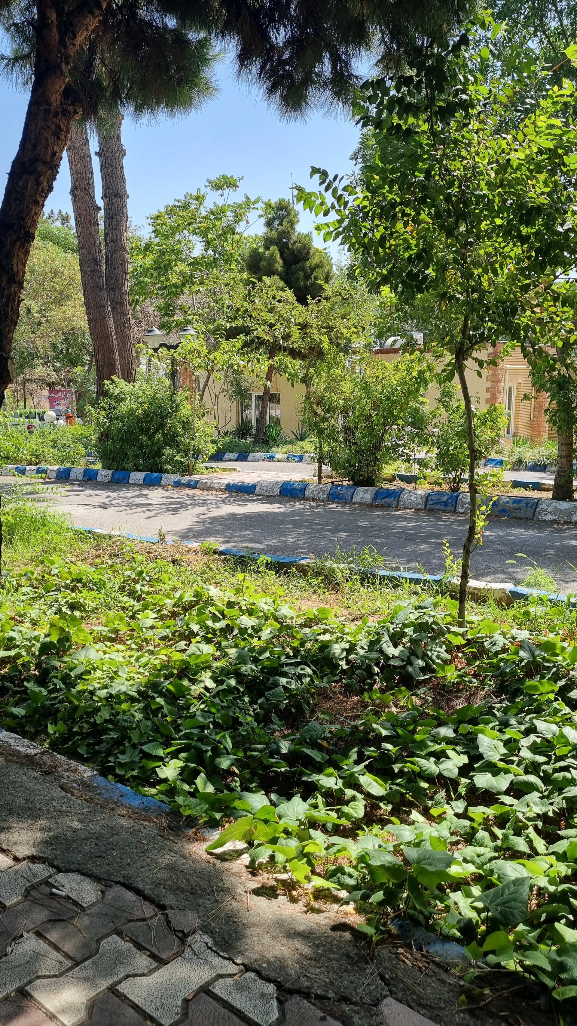 عکس مجتمع رفاهی کارگران