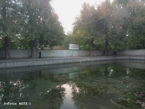 عکس چشمه آب صفی آباد