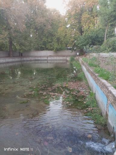 عکس چشمه آب صفی آباد