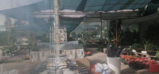 بازار دائمی گل و گیاه قم