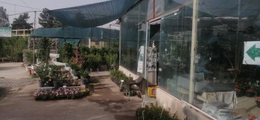 بازار دائمی گل و گیاه قم