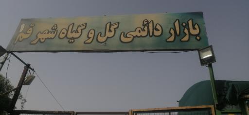 بازار دائمی گل و گیاه قم