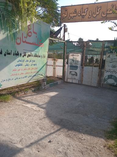 بازار دائمی گل و گیاه قم