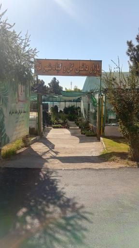 بازار دائمی گل و گیاه قم