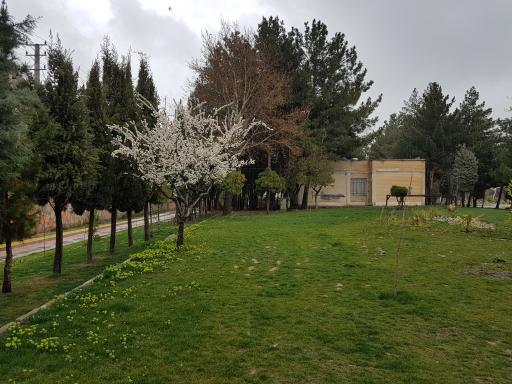 عکس پارک ولیعصر (عج)