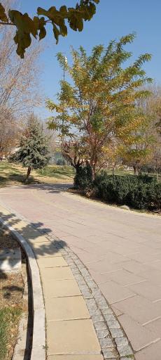 عکس پارک ولیعصر (عج)