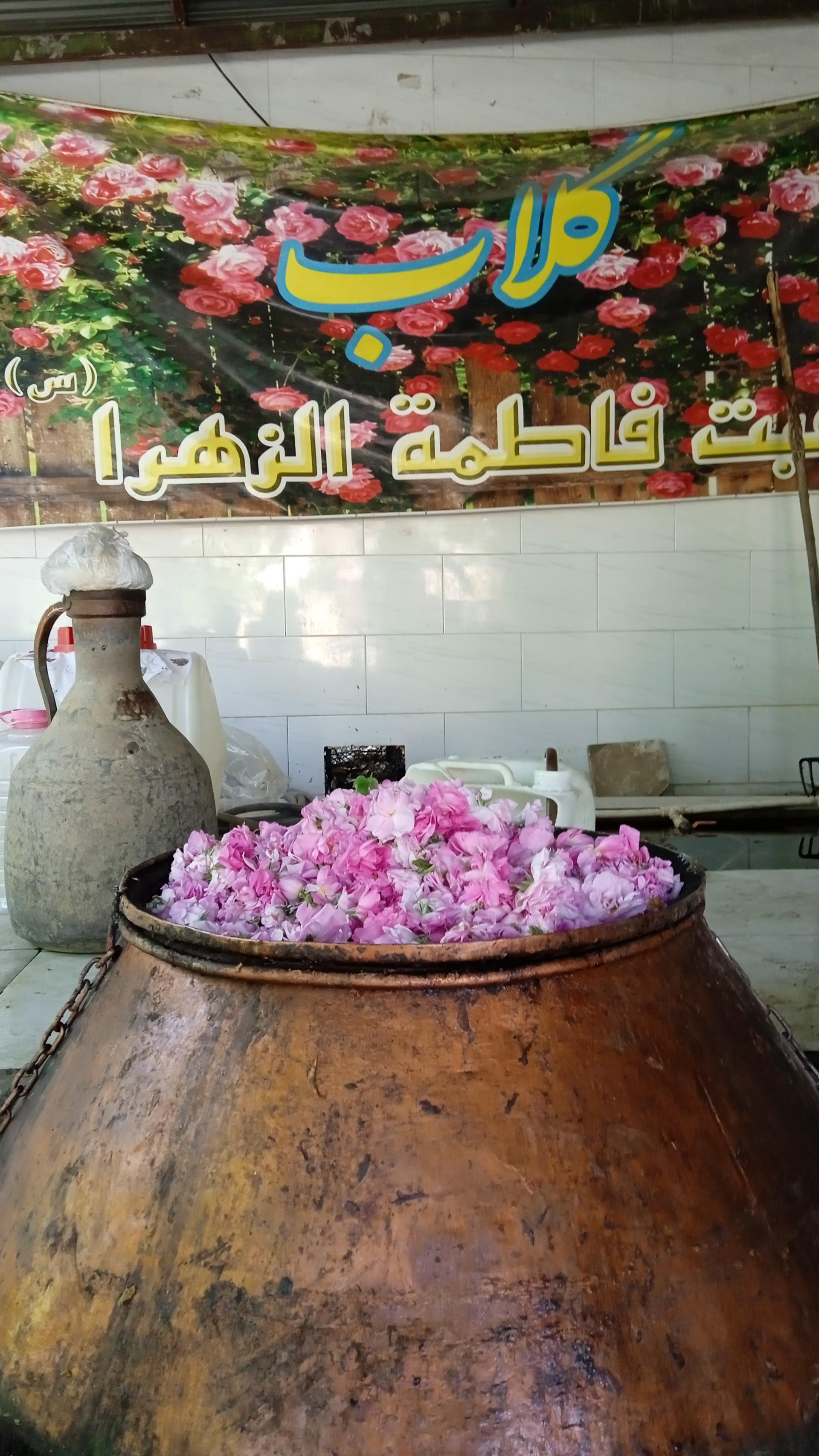 عکس گلاب گیری محبت فاطمه الزهرا