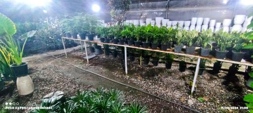 عکس گلخانه خلیلی