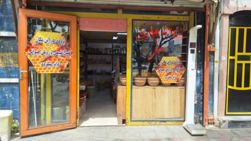 ادویه فروشی دالاهو