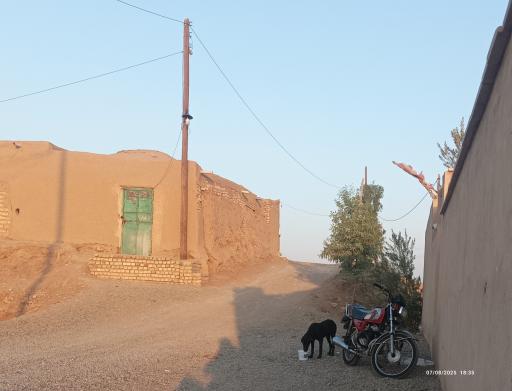 باغهای قدیمی تلک آباد