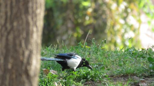 عکس پارک انقلاب