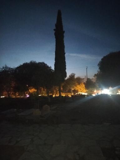 عکس شیخ عبدالله کوسه