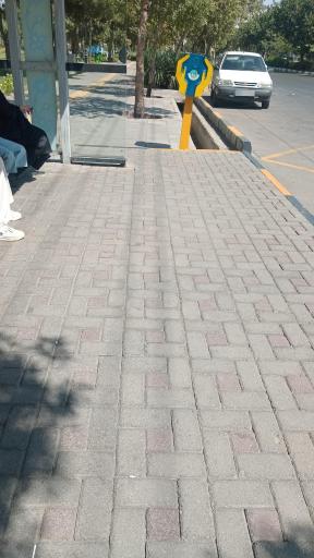 عکس  شهید آوینی 8