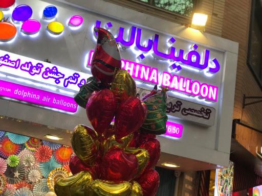 عکس دلفينا بالون