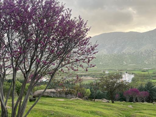 عکس لرستان